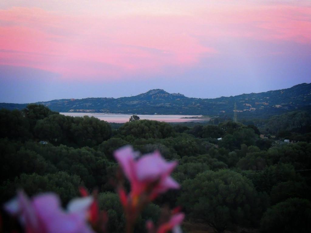 Agriturismo Sa Mendhula Cugnana Δωμάτιο φωτογραφία