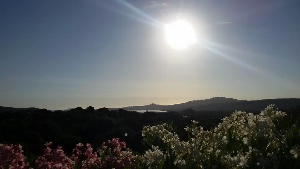 Agriturismo Sa Mendhula Cugnana Δωμάτιο φωτογραφία
